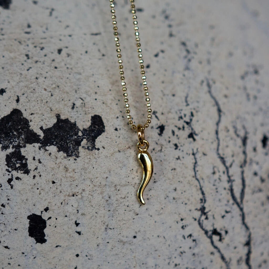 Dainty Italian Horn Necklace | Cefalu | Chains by Lauren