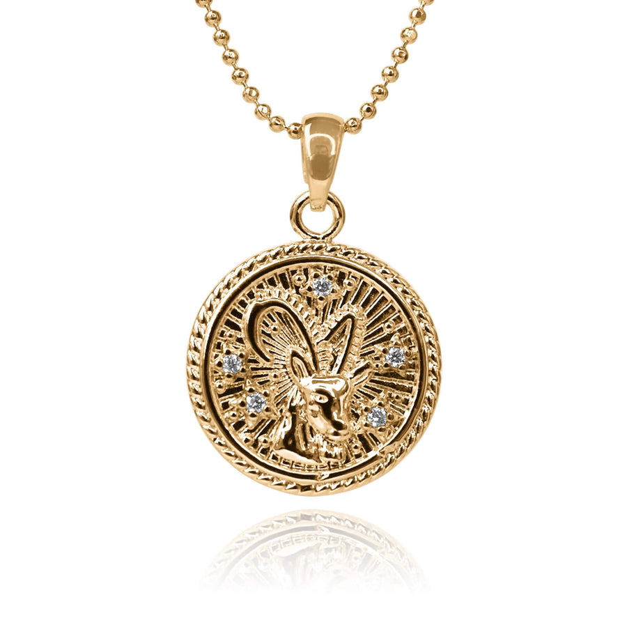 Capricorn Zodiac Coin Necklace