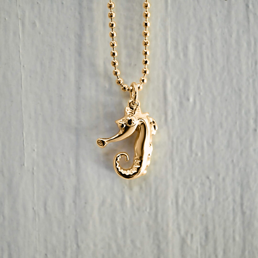 Harold the Sea Horse Necklace